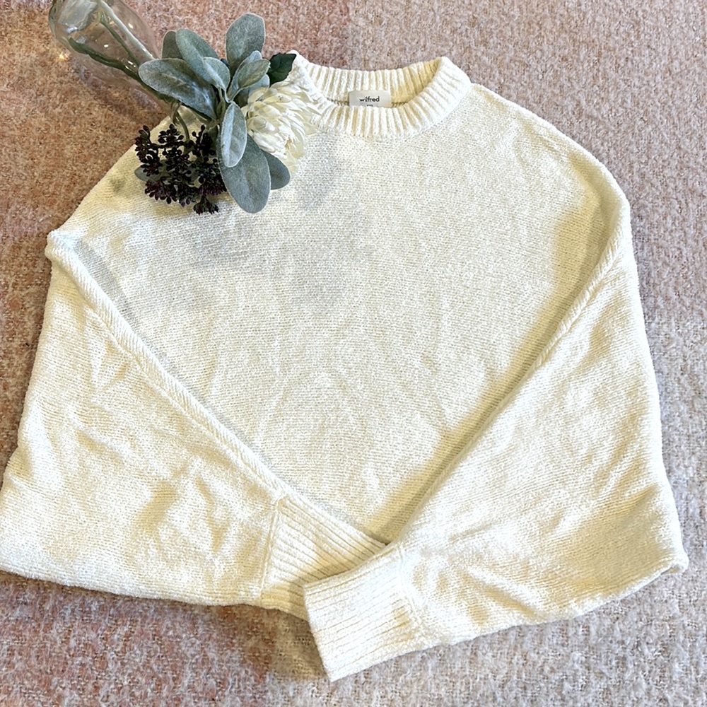 Wilfred Aritzia Bat Wing Sweater